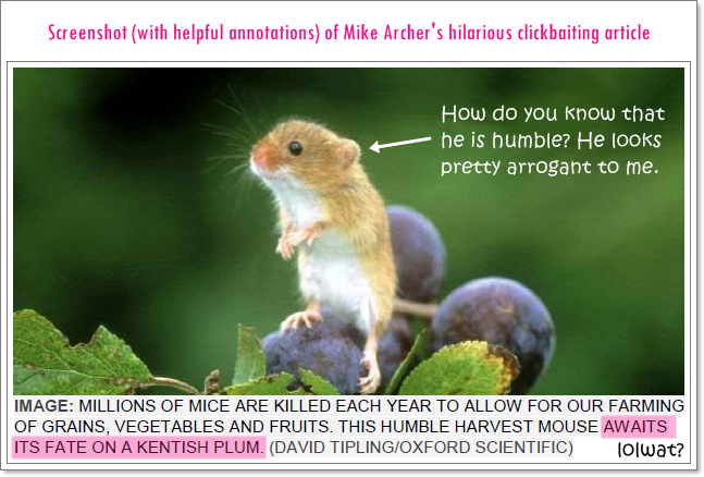 blog-vegan-debunking-cultivation-kills-animals-mike-archer-01.png