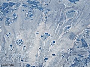 Frozen sediments in the Tundra
